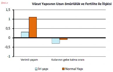 Sütçü Formun Etkileri — görsel 4