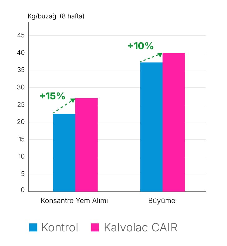 1. Kalvolac araştırma grafiği